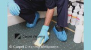 Carpet Cleaning Melbourne