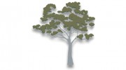 Rivergum Building Services