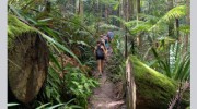 Byron Bay Adventure Tours