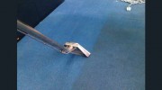 Carpet Cleaning Watson