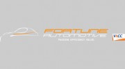 Fortune Automotive