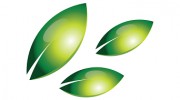 Wildcat Garden Services