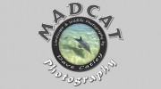 MADCAT Photography
