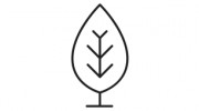 Kate Morgan Authorised Celebrant