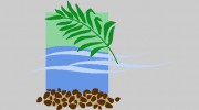 Central Pools & Landscapes