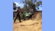 Pro-Cut Tree Services