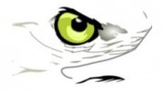 Proeye Communications & Security Systems