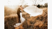 Tom Hall Photography
