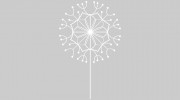 Nadja's Family Acupuncture
