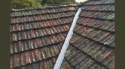Straightline Roofing Services