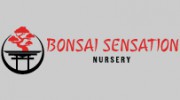 Bonsai Sensation Nursery