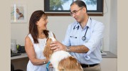 Vets In Cranbourne