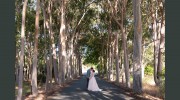 Kruger Photography