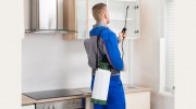 Pest Control Ocean Grove