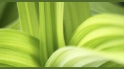Gardenvale Physiotherapy & Pilates