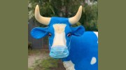 East Bentleigh Veterinary Clinic