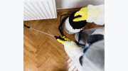 Pest Control Mornington