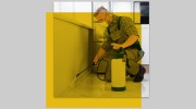 Pest Control Hamilton