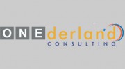 ONE Derland Consulting