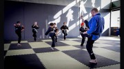 Issei Ryu Dujutsu