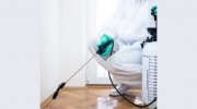 Pest Control Kingston