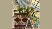 Biophilia Blooms