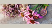 Naturopathic Healthcare