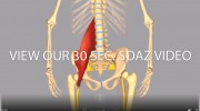 Posturepro Physiotheraphy