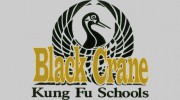 Black Crane Kung Fu