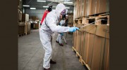 Pest Control Woolloongabba