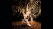 Daniel Suarez Photography