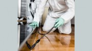 Pest Control Potts Point