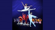 Pavlova School Of Classic Ballet