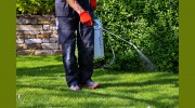 Complete Pest Control