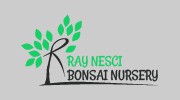 Bonsai Ray Nesci Nursery