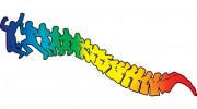 Newcastle Chiropractic