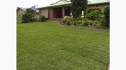 Back 2 Front Turf