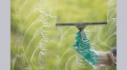 Watts Window & Solar Clean
