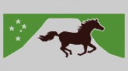 Southern Cross Horse Treks