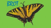 Bendigo Regional Occupational Therapy