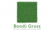 Bondi Grass