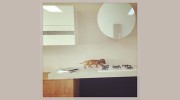 KitchenHaus