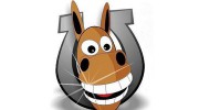 Dr Kirsten Jackson Equine Dental Veterinarian
