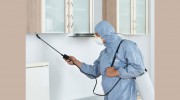Pest Control Wahroonga
