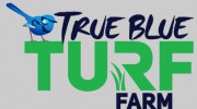 True Blue Turf