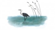Clearwater Graphic Design