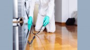 Pest Control Pyrmont