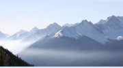 Mindful Psychology