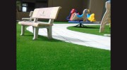 Reelgrass Australia