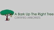 A Bark Up The Right Tree